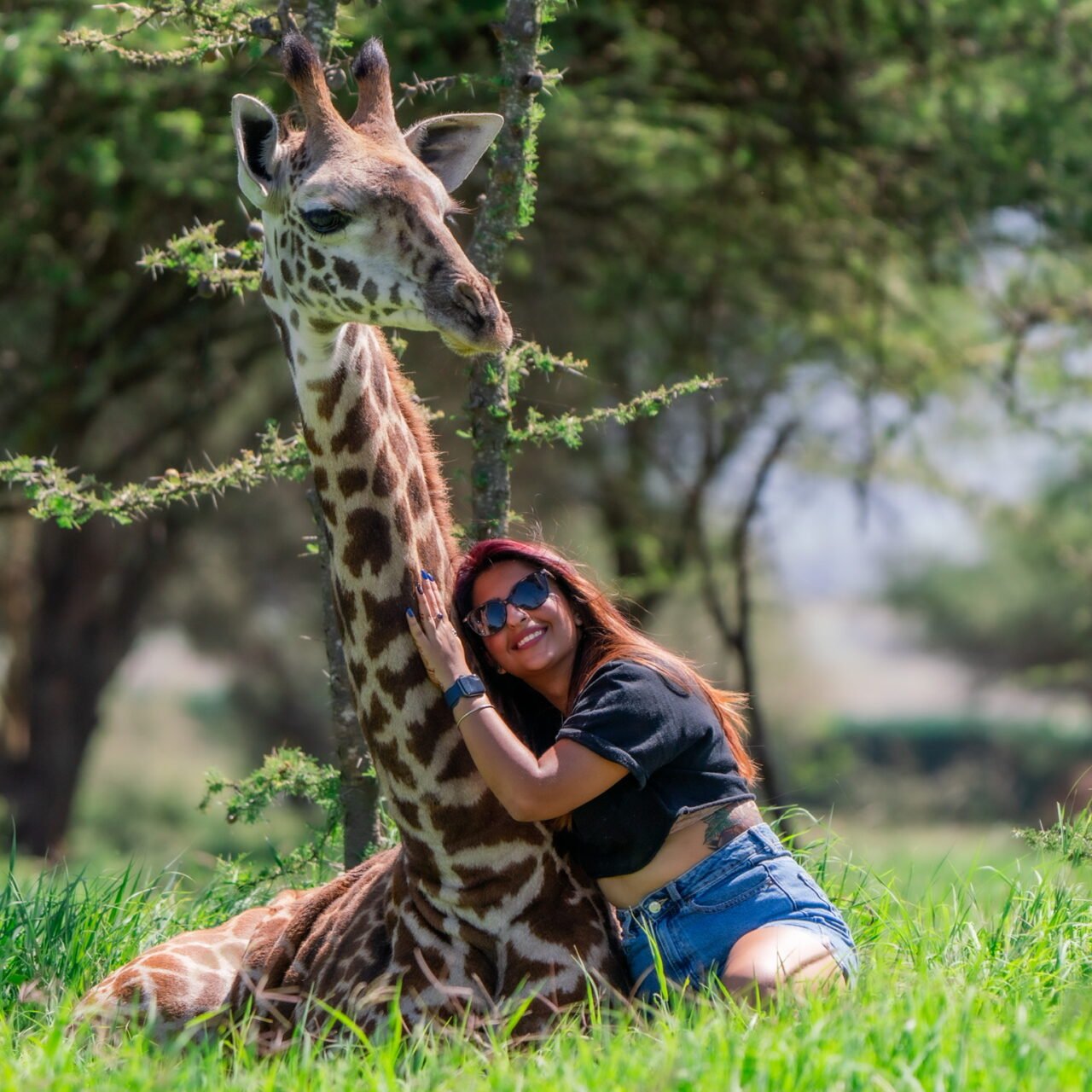 Book 2 Days Tanzania Safari from Mwanza 2026-2027