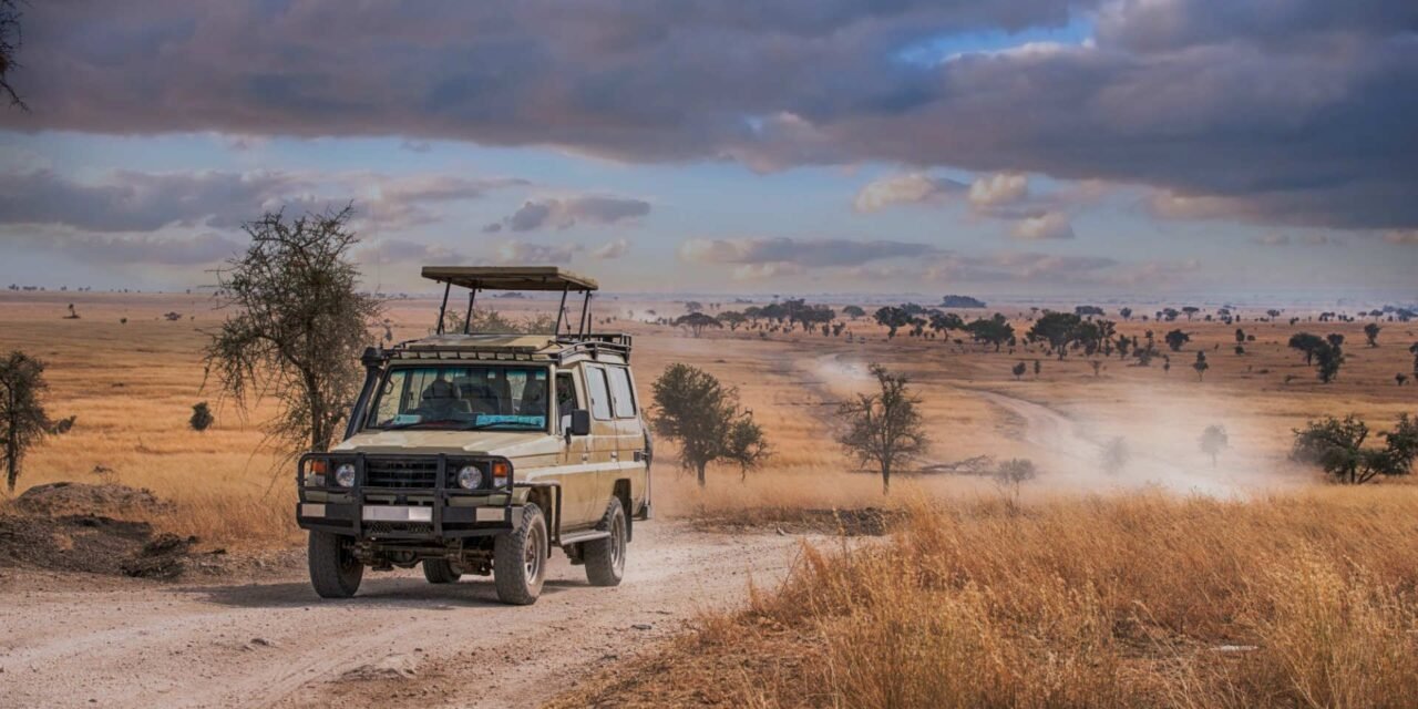 Safest Safari Destinations Africa: Expert Guide