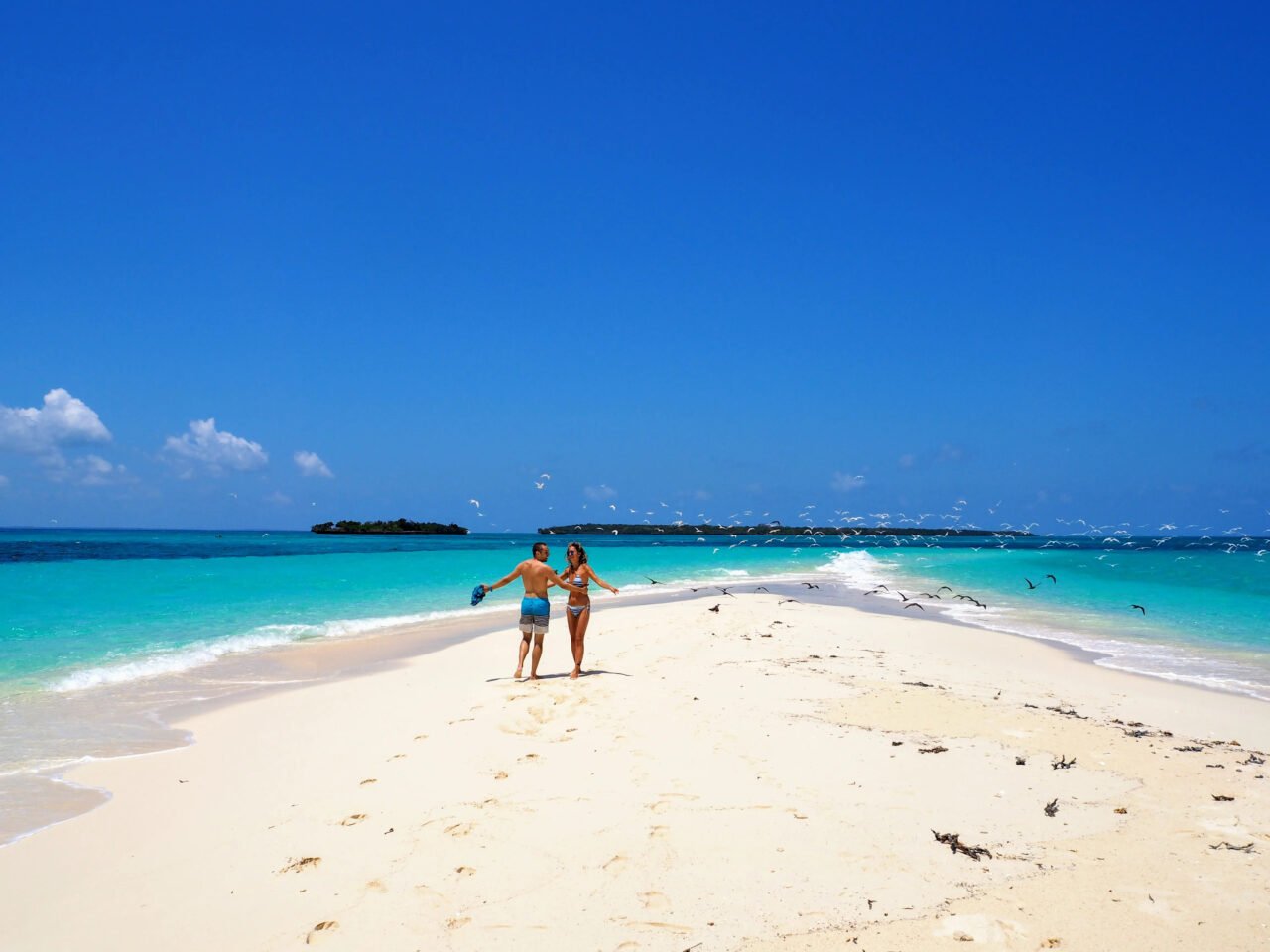 Zanzibar To Mafia Island Tour + Fly Safari: Your Ultimate Tanzania Coastal