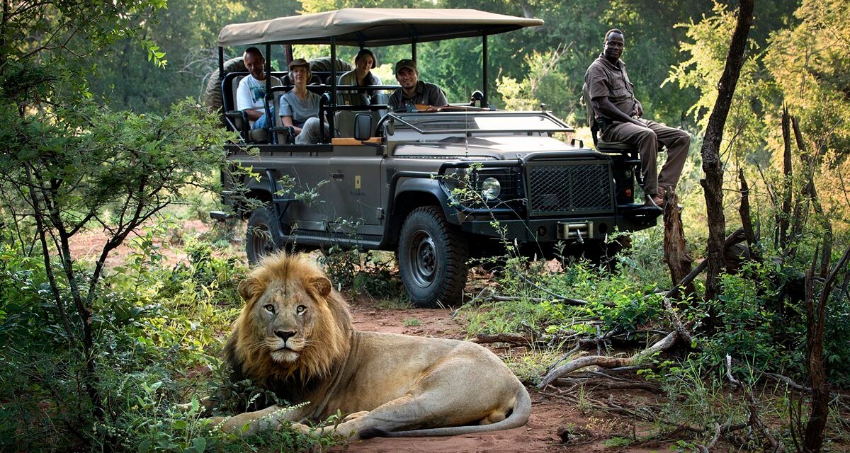Private Fly-In Safari To Selous Game Reserve: Your Ultimate Guide 2026-2027