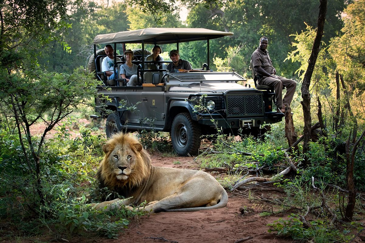 Weekend Safari From Dar Es Salaam To Selous: Your Ultimate Guide 2026-2027