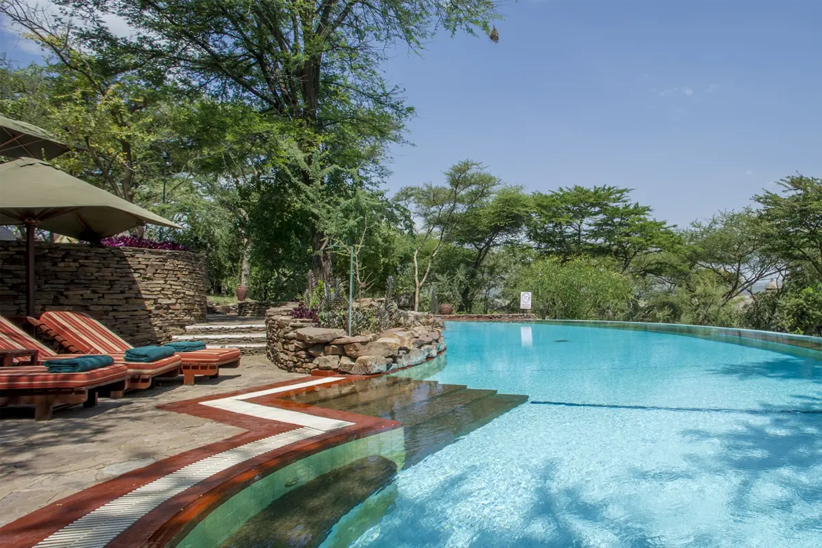 Serengeti National Park Safari Guide: Expert Tips