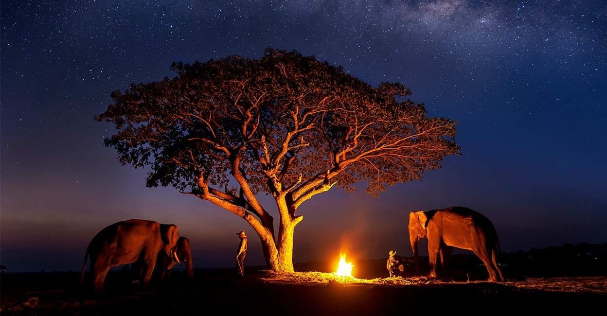 Serengeti Safari From Zanzibar: How To Plan It: Best Guide