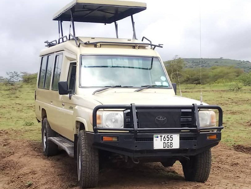 7 Days Tanzania Family Safari From Moshi: Best Guide 2026-2027-2028