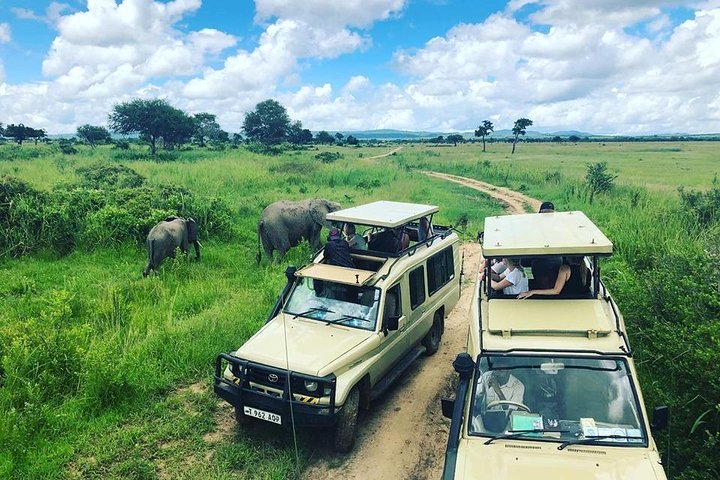 Tanzania Itinerary For Wildlife Lovers: Complete Tour Guide 2026-2027