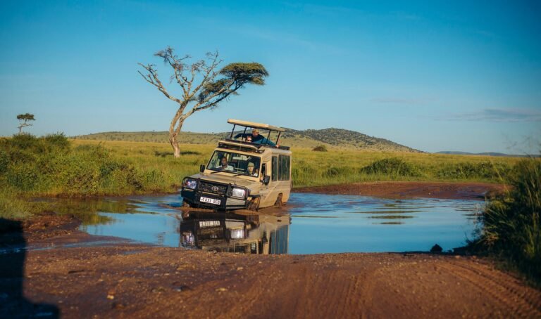 1-Day Kimboza Forest Tour