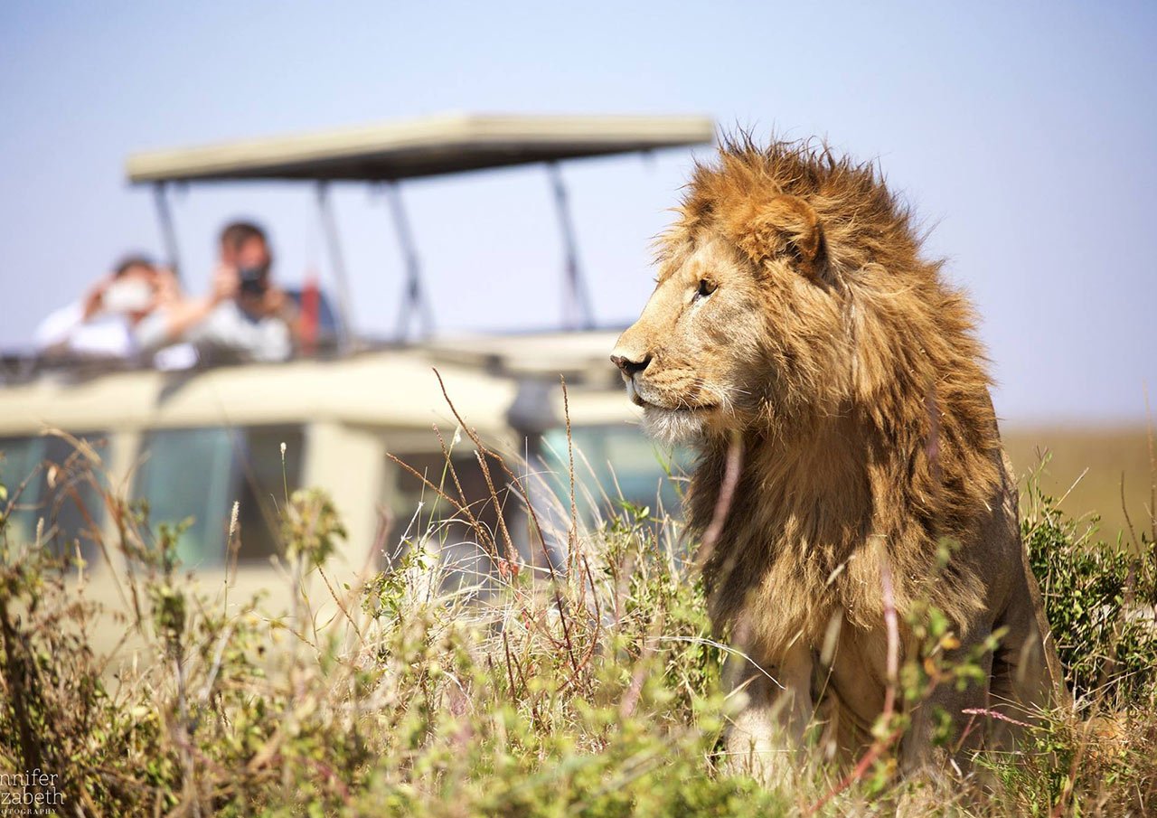 Tanzania Safari Packages For Couples: Complete Guide