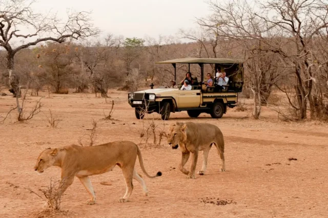 Tanzania Safari Cost – Best Guide 2026-2027 Tanzania Safari Cost – Best Guide 2026-2027