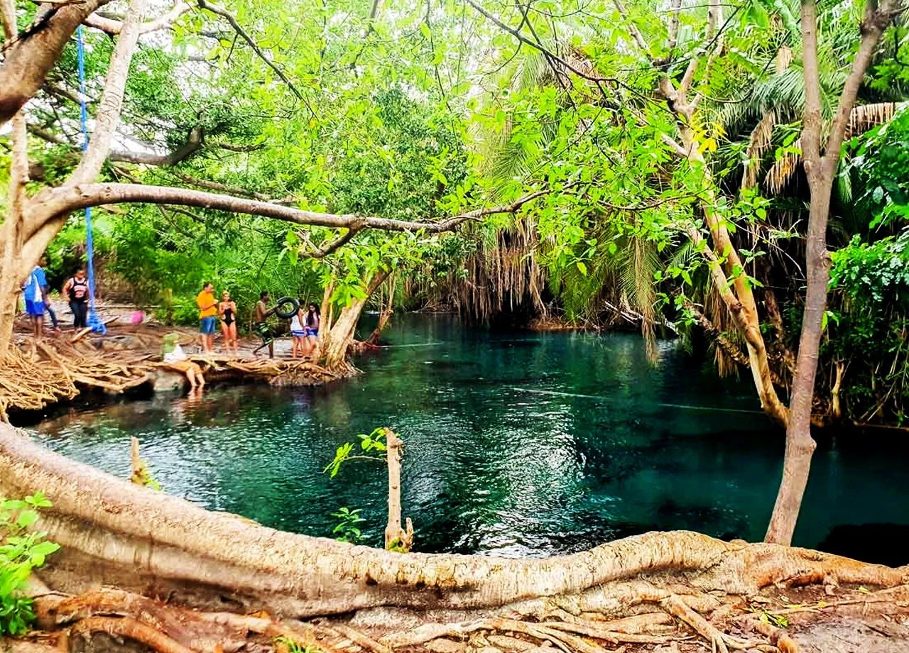 Kikuletwa Hot Springs Day Tour 'Blue Water' Best Short Trip 2026-2027