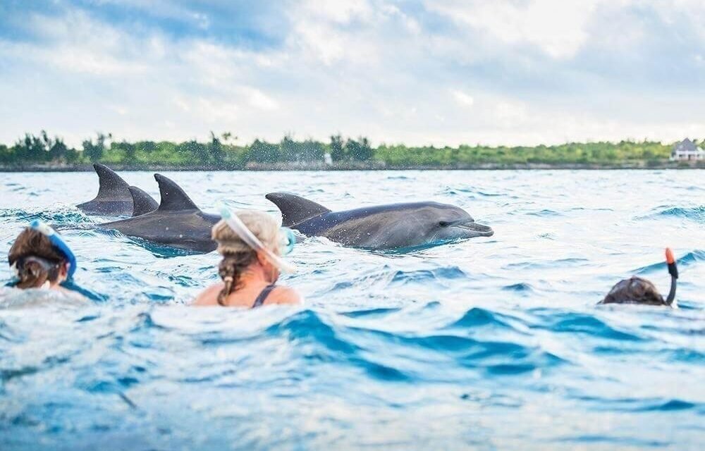 Best Luxury Hotels In Zanzibar: Expert Travel Guide