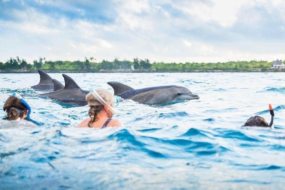 Mafia Island From Zanzibar Price: Your Escape Cost Guide 2026-2027