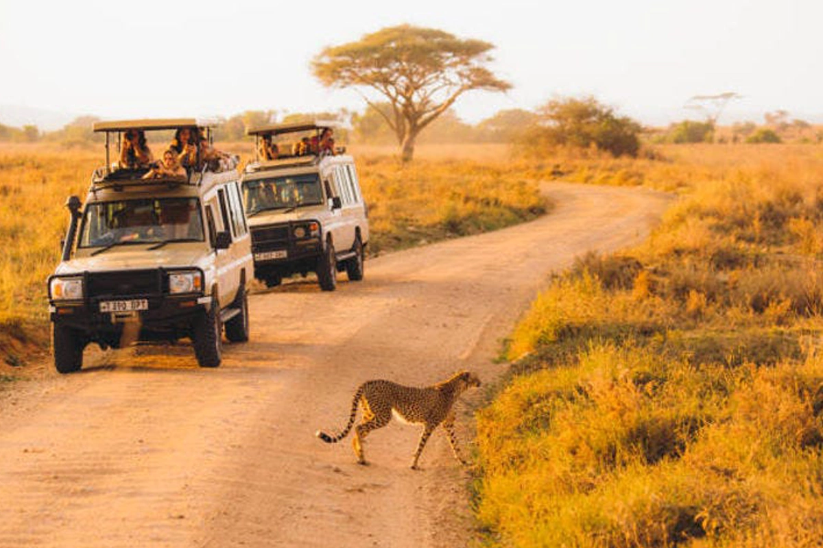 Tanzania Cave Photography Tour: Exploring Subterranean Wonders In 2026-2027