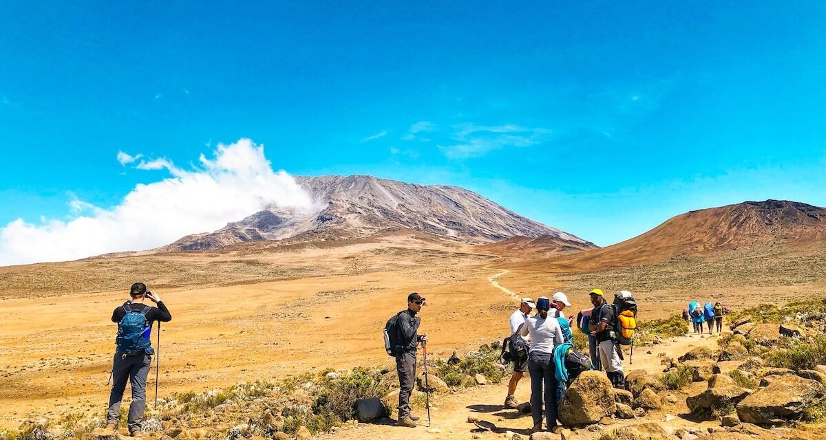 Kilimanjaro Porter Welfare Tour Operator: Best Guide