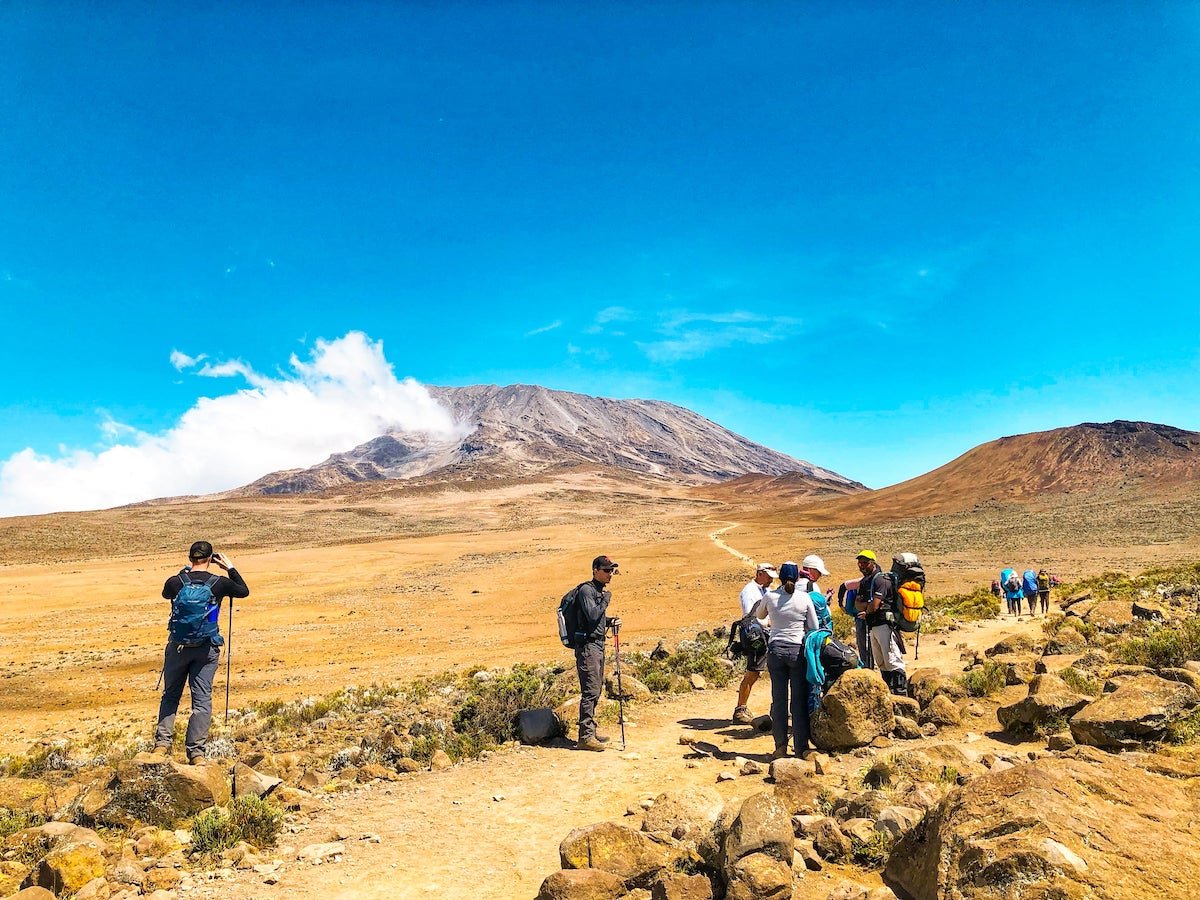 Kilimanjaro Porter Welfare Tour Operator: Best Guide