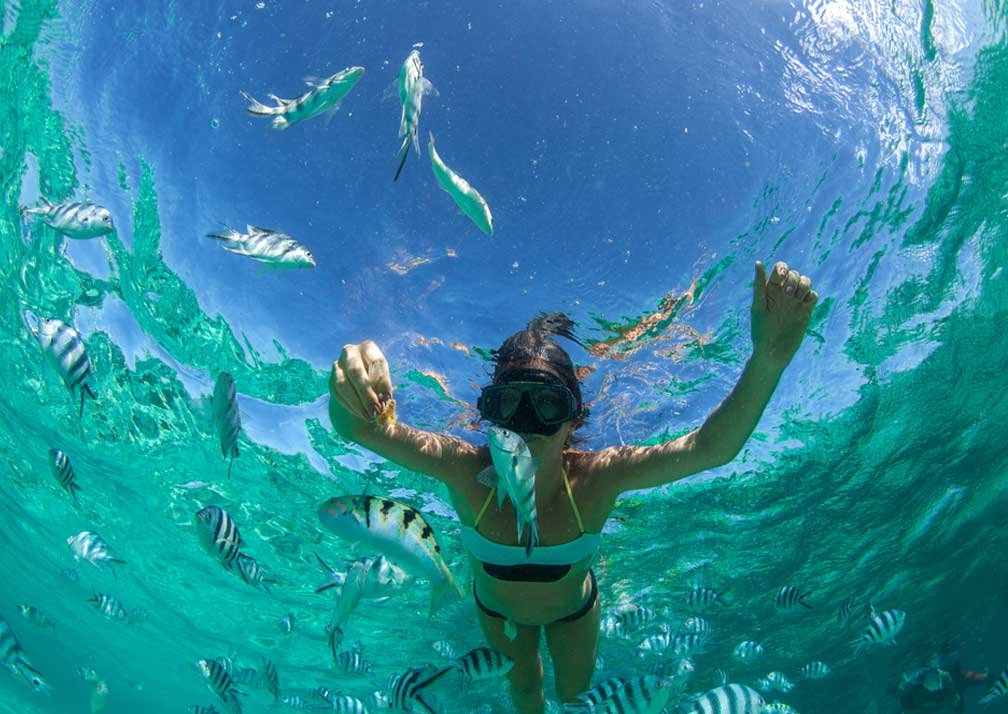 Mnemba Atoll Dolphin and Snorkeling Tour: Your Ultimate Zanzibar Marine Adventure