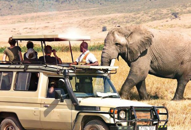 Africa Trip Cost: Your Essential Planning Guide