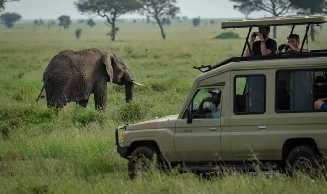 Best Tanzania Itinerary Without Zanzibar: Complete Travel Guide 2026-2027