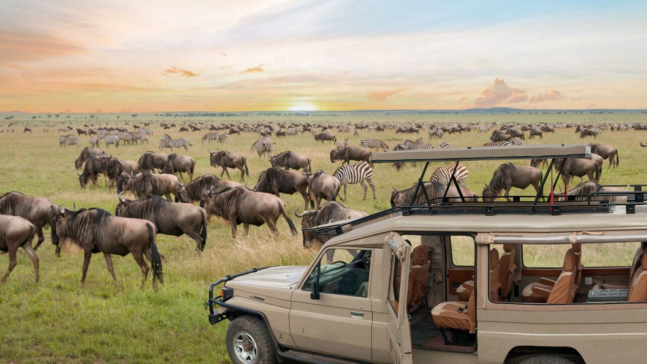 Tanzania 2-Week Itinerary For First-Time Visitors: Complete Tour Guide