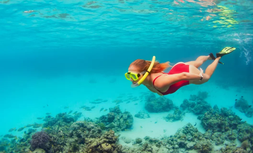 Mafia Island Diving Package From Zanzibar: Your Ultimate Guide 2026-2027