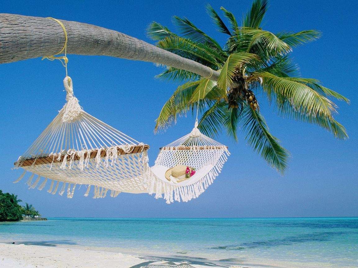 Safari Blue Snorkeling and Seafood Lunch Tour: Your Ultimate Zanzibar Experience