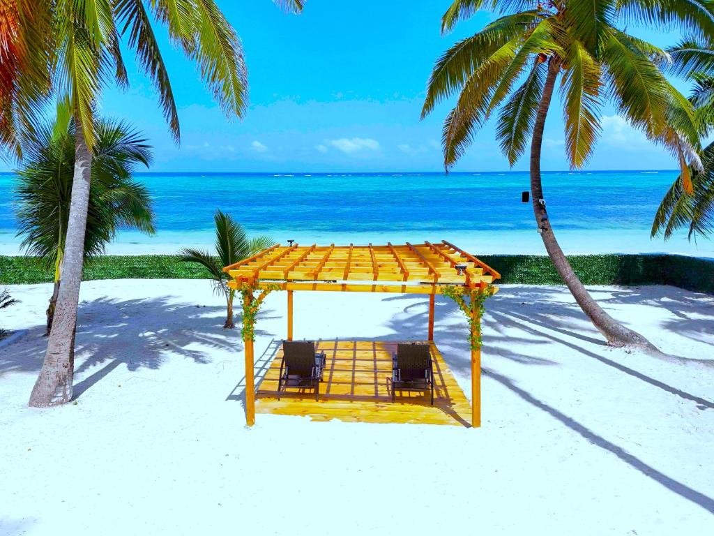 Zanzibar Dolphin Tour Kizimkazi: Your Ultimate Guide for 2026-2027