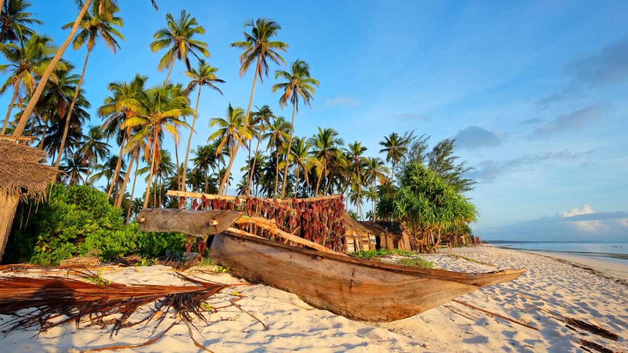 Zanzibar Safari Blue Tour: Your Ultimate Guide to an Unforgettable Island Adventure