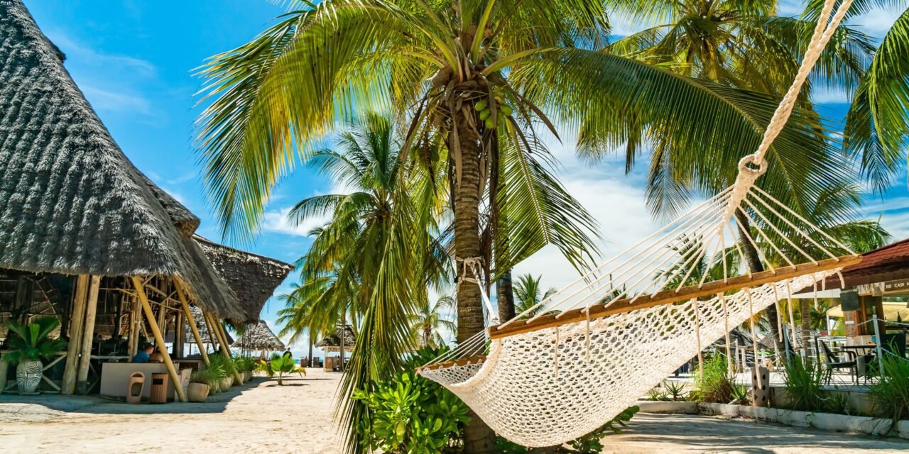 Nyerere Safari From Zanzibar With Walking Best Guide 2026-2027-2028