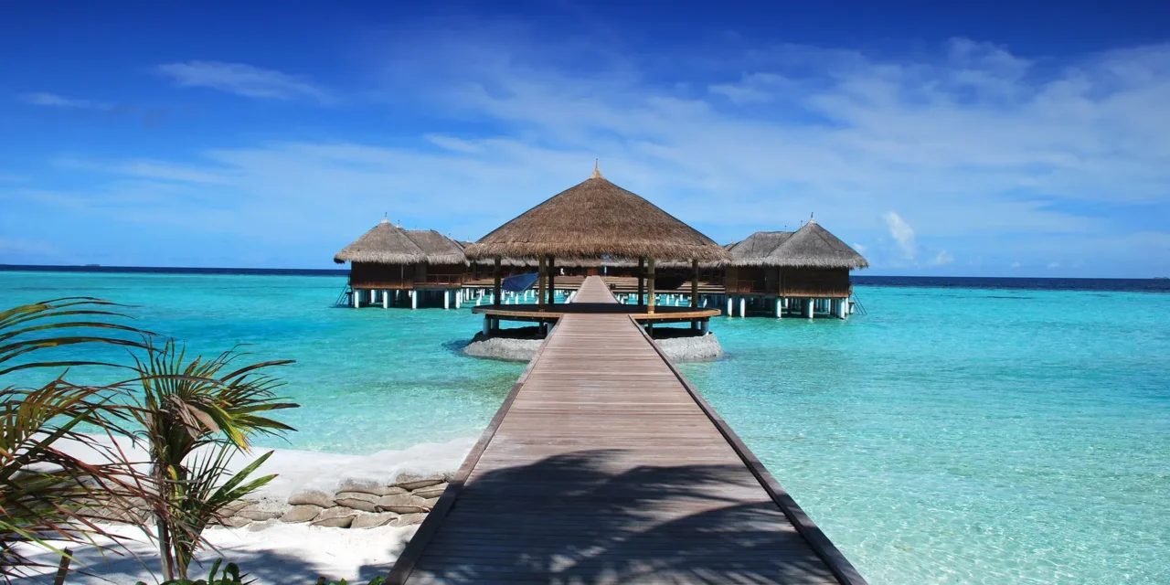 Mikumi Safari From Zanzibar Via Dar Es Salaam: Best Guide 2026-2027-2028