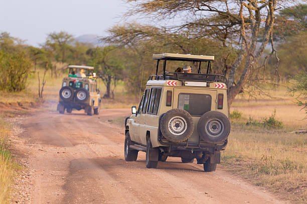 3-Day Masai Mara Weekend — Big Cats Focus: Complete Guide 2026-2027
