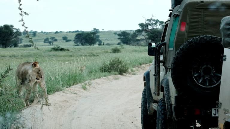 Tanzania Small Group Budget Safari: Your Ultimate Guide to Affordable Adventure
