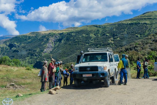 Ultimate Cheetah Safari in Tanzania: Your Expert Guide to Witnessing the World's Fastest Land Animal
