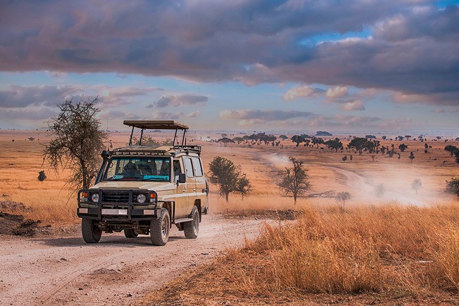 Best Time To Go On African Safari: Expert Guide