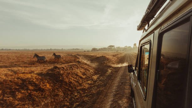 Best Local Tour Operator In Zanzibar — Top Guide Adventures: Complete Travel