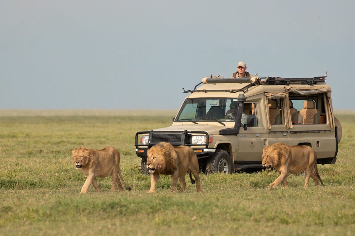 Family African Safari: Complete Planning Guide