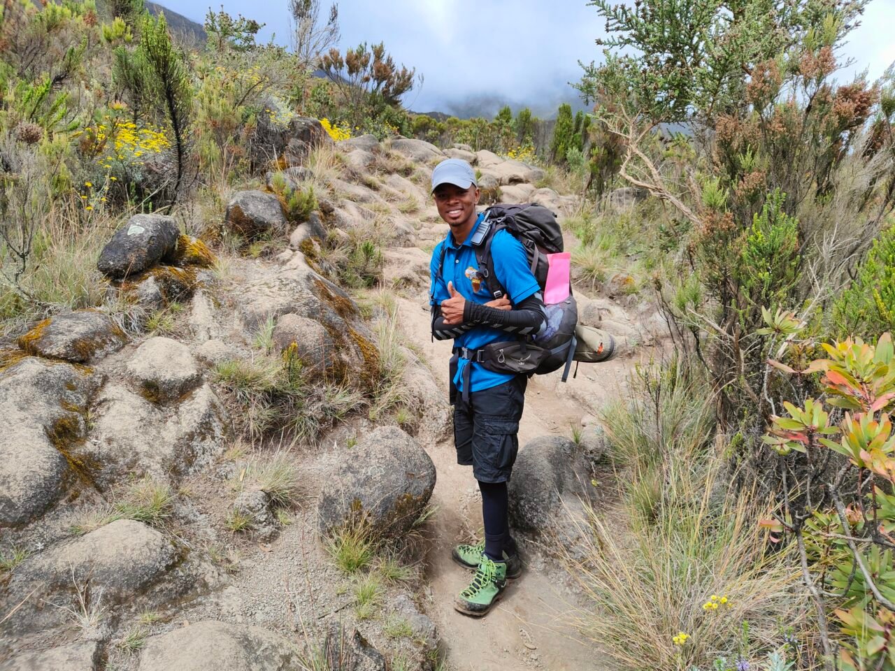Kilimanjaro Day Trip Without Climbing From Arusha – Your Ultimate Photo Tour