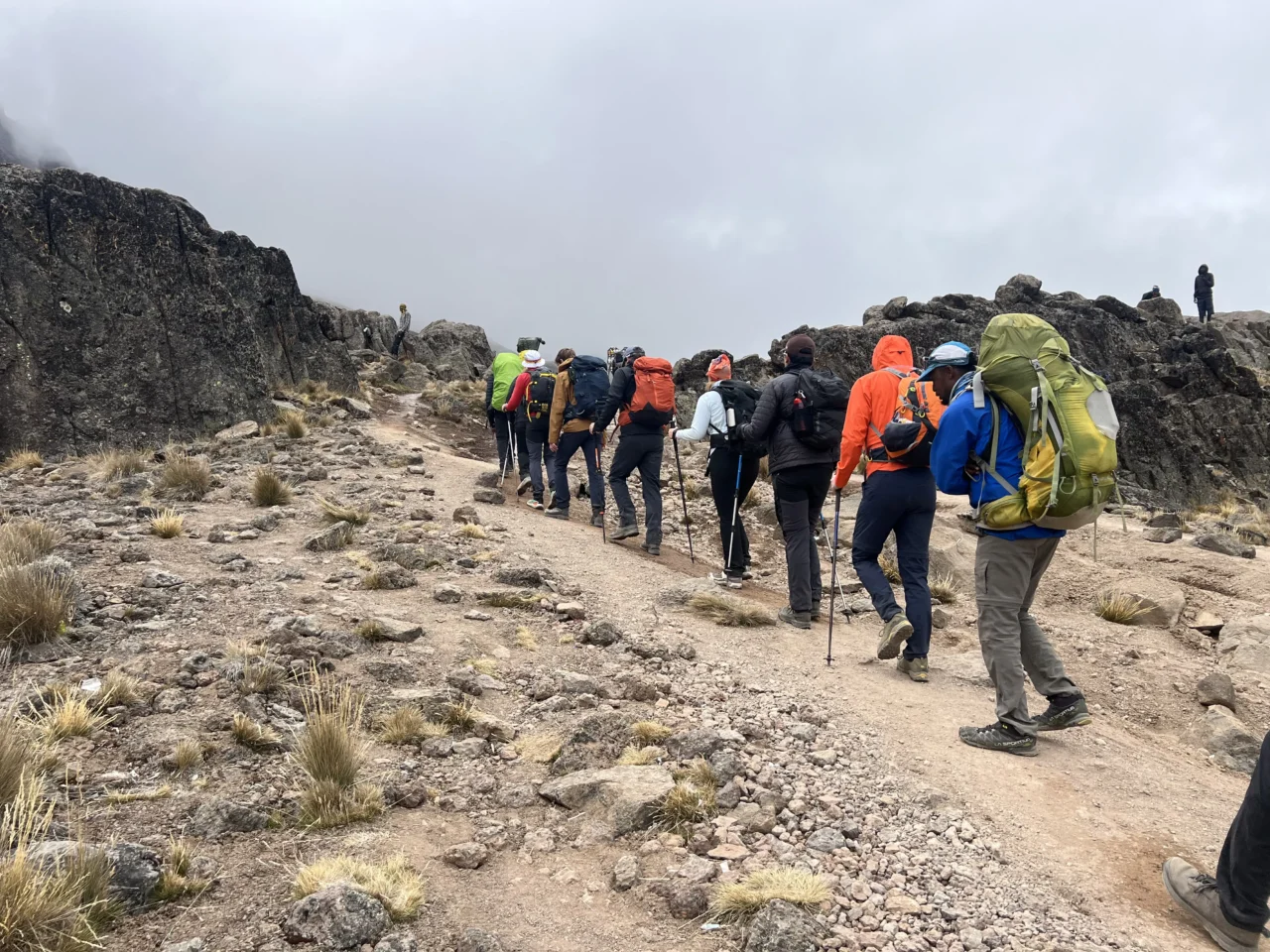 Luxury Kilimanjaro Gate Tour From Arusha – Vip Day Trip Experience 2026-2027