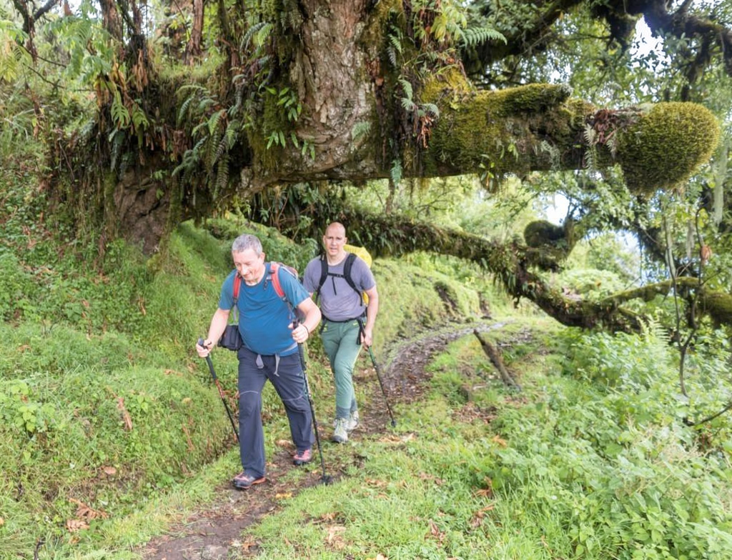 Mount Meru Climb Before Kilimanjaro - Book Perfect Training Trek in Tanzania