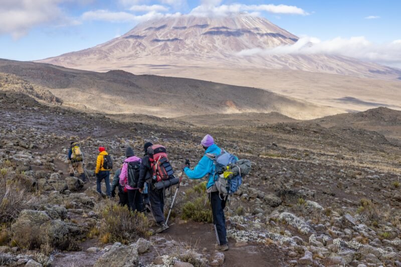 New Year Kilimanjaro Climb - Book Uhuru Peak Summit and Start the Year Strong