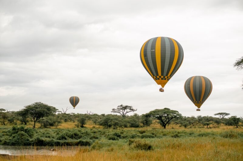 Private Serengeti Safari - Book Exclusive Big Cats and Wildlife Tour