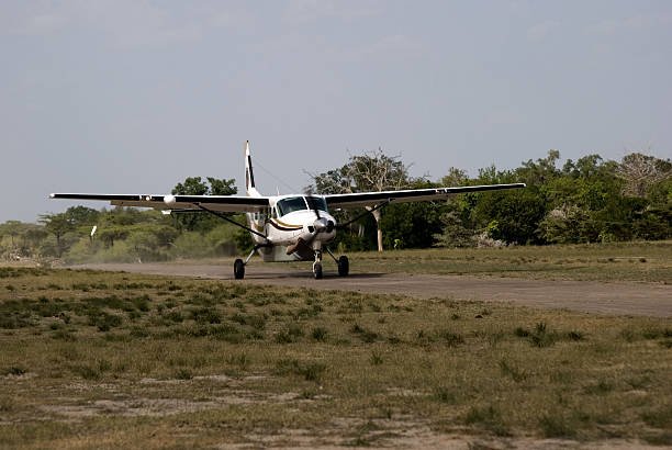 Rubondo Island Fly-In Safari from Serengeti – Cost & Itinerary