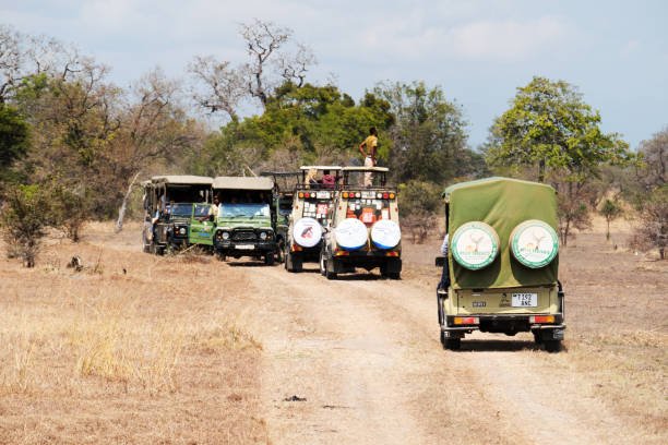 Arusha To Dar Es Salaam Bus: Your Essential Travel Guide 2026-2027