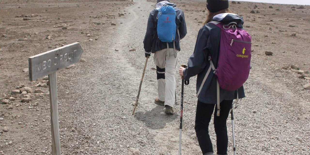 Best 1 Day Lemosho Route Hike From Arusha 2026-2027