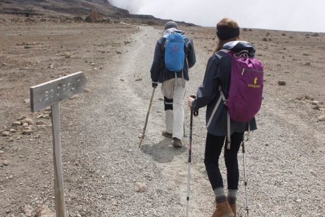 Kilimanjaro Acclimatization Package For Sea-Level Travellers | Top Guide Kilimanjaro Acclimatization Package For Sea-Level Travellers | Top Guide