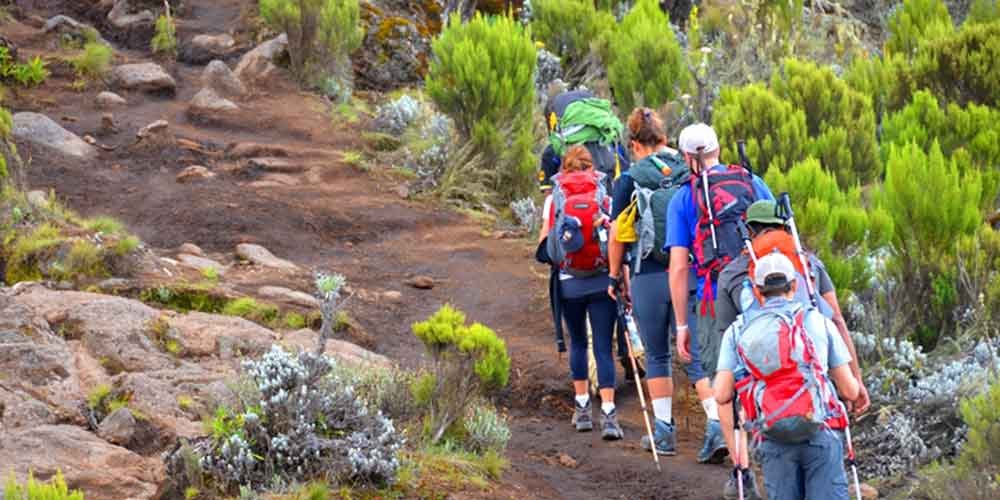 Kilimanjaro Pre-Climb Hiking Package From Moshi 2026-2027