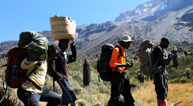 Kilimanjaro Group vs Private Climb: Cost & Package Comparison