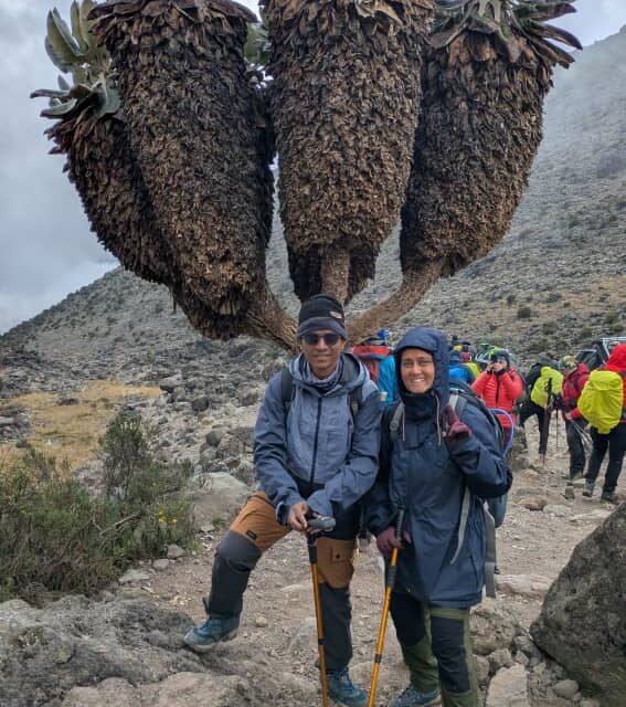 Most Asked, Kilimanjaro July Group Departure Dates: Expert Trekking Guide