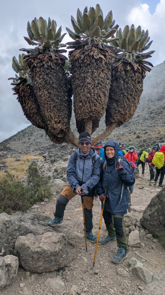 Highest Success Rate Kilimanjaro Route: Expert Trekking Guide 2026-2027-2028