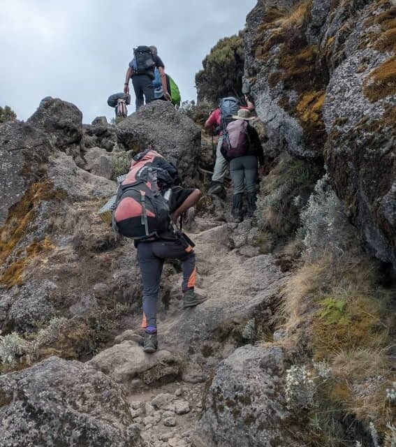 Unforgettable Mount Kilimanjaro Adventure: Expert Trekking Guide