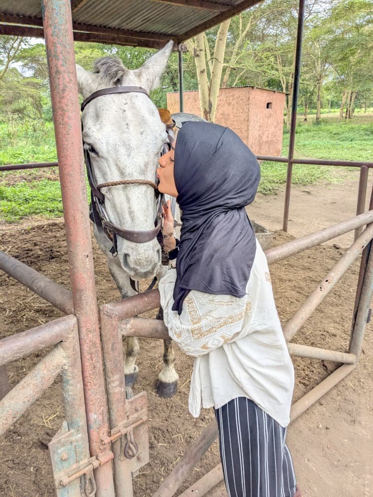 Dolly Horse Riding Safari Arusha: Unique Adventures In 2026-2027