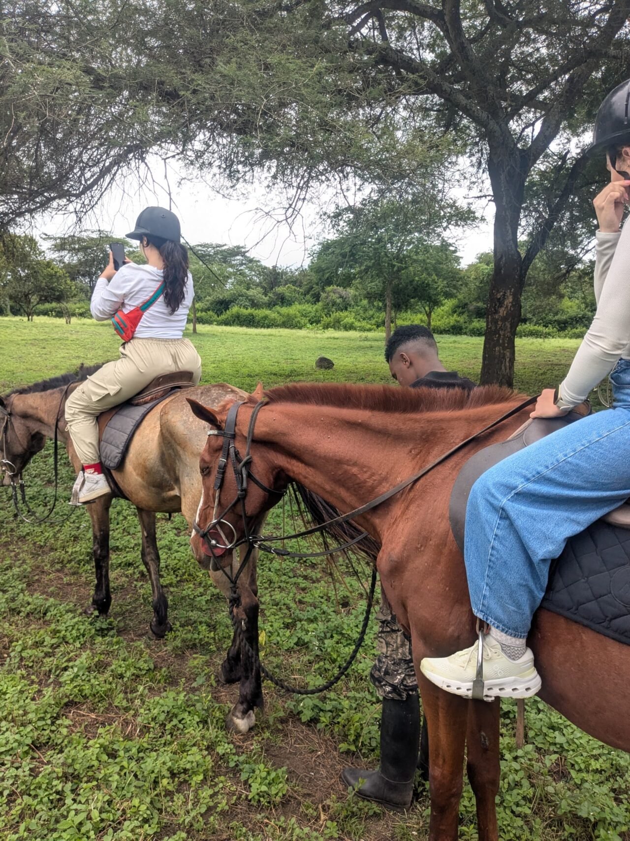 Horse Riding Near Lake Natron Tanzania: A Unique Safari Experience 2026-2027
